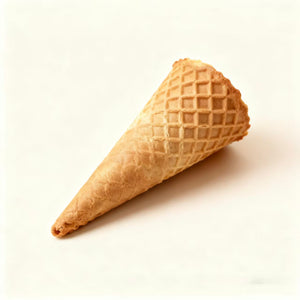 cone shells